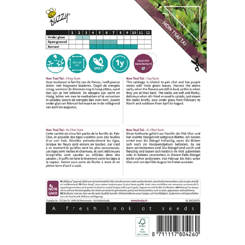 Buzzy® Xotica Hon Tsai Tai Choy Sum Purple - afbeelding 2