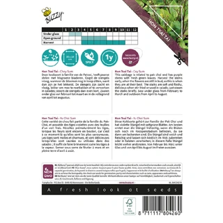 Buzzy® Xotica Hon Tsai Tai Choy Sum Purple - afbeelding 2