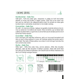 Horti Tops Komkommer Gele Tros - afbeelding 2