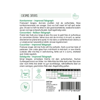 Horti Tops Komkommer Telegraph Improved - afbeelding 2