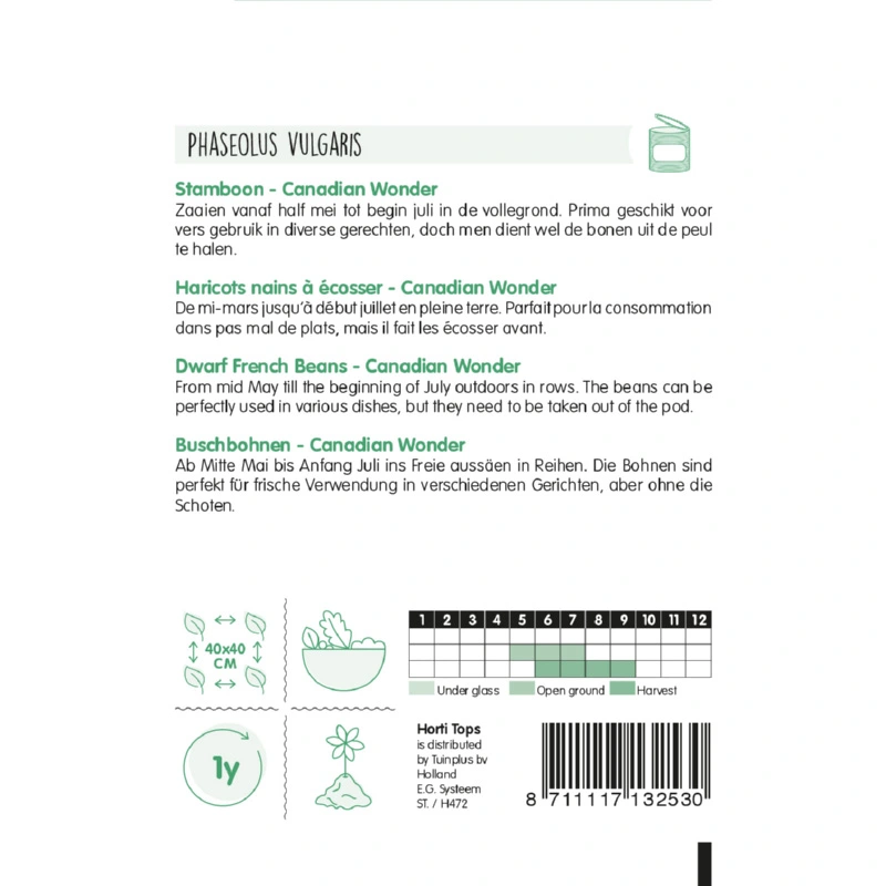 Horti Tops Stambonen Canadian Wonder (Kidney) - afbeelding 2