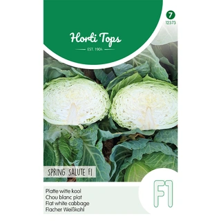 Horti Tops Platte Witte Kool Spring Salute F1 | De Boet