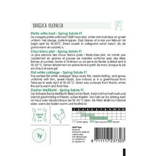 Horti Tops Platte Witte Kool Spring Salute F1 - afbeelding 2