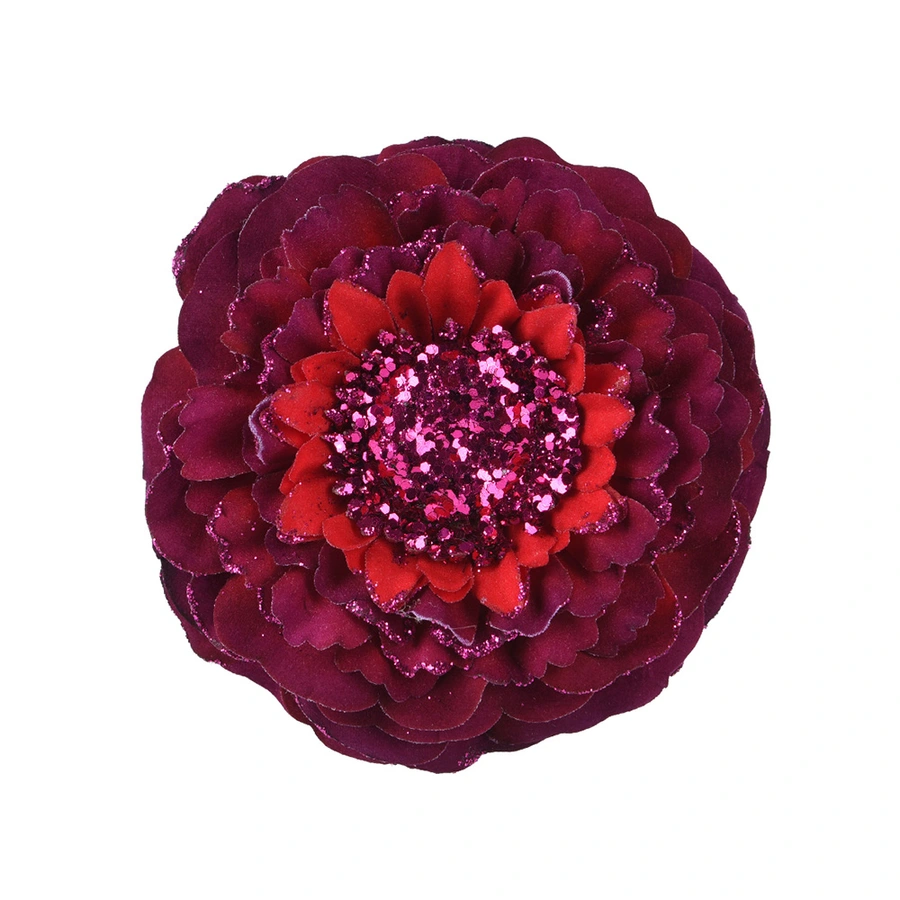Kerstbloem Zinnia Glitter Ossenbloed - Ø10 cm
