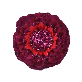 Kerstbloem Zinnia Glitter Ossenbloed - Ø10 cm