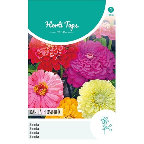 Horti Tops Zinnia Dahliabloemig - afbeelding 1